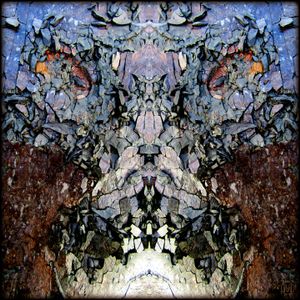 Rock Face (B 0148)