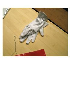 Plate 5:  Two gloves and Ed Ruscha's artist's book "Records," 1971, photo 2006-LK.