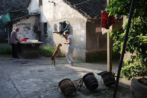 Lane life in Jiangnan066