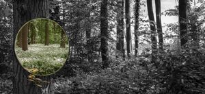 Looking Back At Spring (2015)