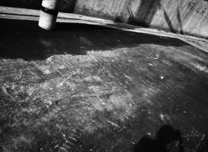 BLACK BIRD LAND-14