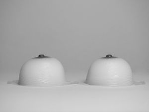 disobedient bodies #11