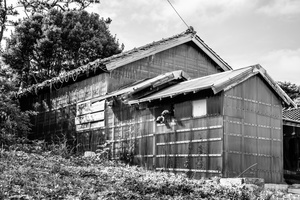 The house, Japan