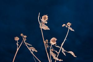 Ephemeral 05