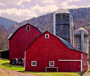 Stately Barn--Roxbury, NY