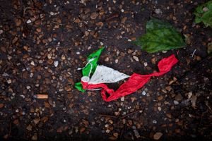© Antonio Sansica