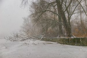 Snow Storm