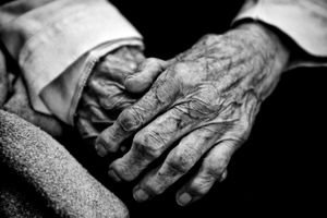 HANDS