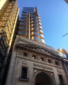 Golden Contrasts