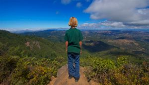 Looking With Gavin