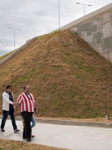 Olympic Sod