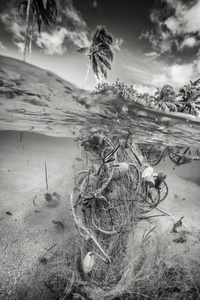 Trouble in Paradise II