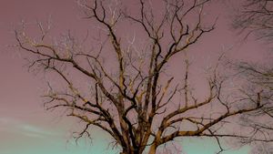 uncertainty