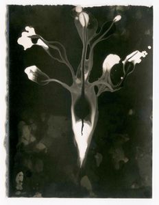 Series I  _  The beginning