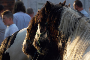 Appleby Horse Fair, feature for Amazone magazine
