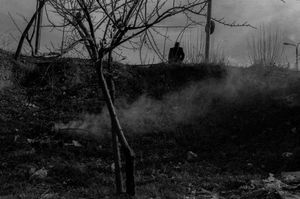 From the series "Georgia"