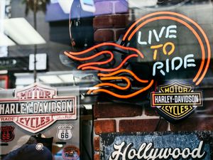 Live to ride