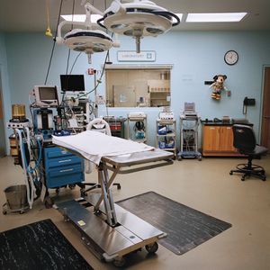 Veterinary Center Diorama
