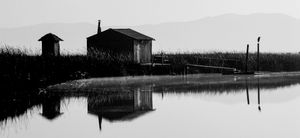 Marsh, Heron and duck hunting cabin with out-house, San Pablo Bay