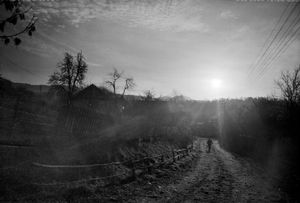 Landscape. Siklód, Romania, 2009