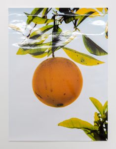 Orange II, December 31, 2017, Huntington Beach, CA, 2018, Chromira print, 40 x 30 inches