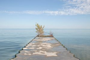 6_Breakwater 2018