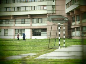 29: sport field