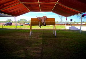 bucking bronco