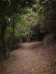 Quiet Isolation | Outland | Salina, Sicily | No. 3