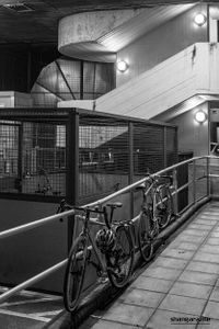 Bicycles, South Bank, London | 02