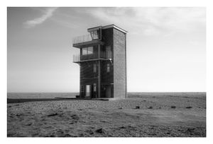 Dungeness #15