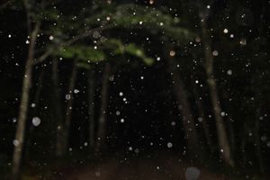 © Matt Nighswander 2013