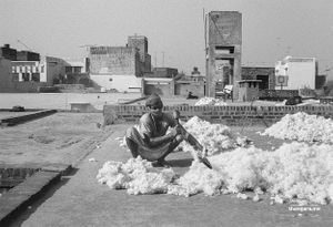 A dhurubi carding cotton | Dhanda, Punjab.