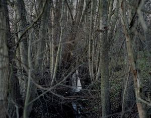 Creek