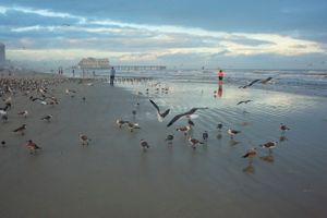 South of the Pier
