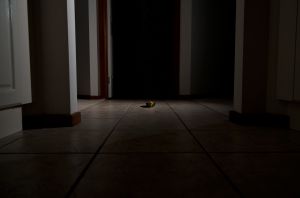 Humble Departure