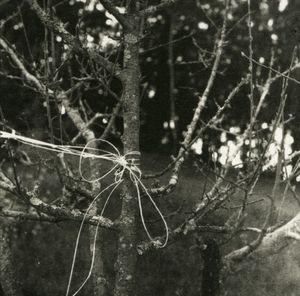 String Tied © Erin Malone