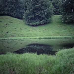 © Malou Sinding