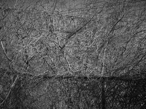 Port Hope, Ontario 2015