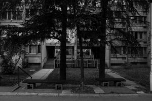 NoviBeograd
