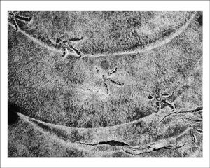 TRACES-PARIS - Empreinte 2