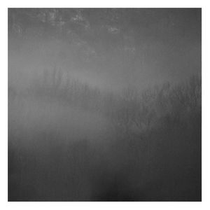 Movement, in a hushed gaze