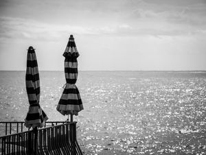 Sentinels