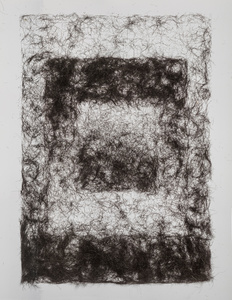 Gradient Study
