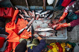 Gitxaala_07