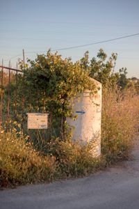 A gate on the Costa Vicentina,  Algarve, Portugal, May 2018
