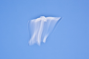 FLIGHT #D62919