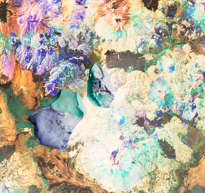 Multicoloured collage