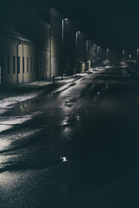 untitled from the series "Waiting for the Awakening"