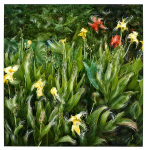 Garden, Furnas